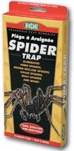 Spider Trap